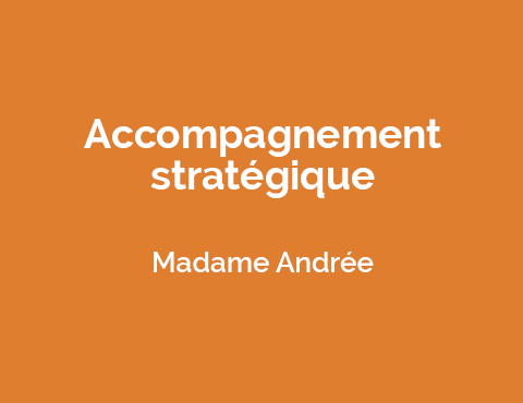 Accompagnement-strategique-Madame-Andree