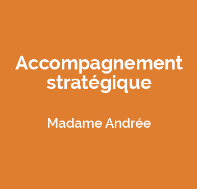 Accompagnement stratégique